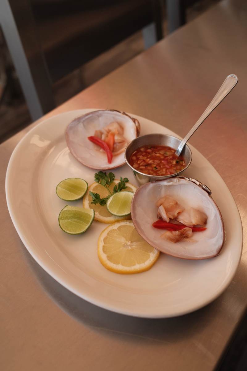 Almeja Chocolata - Mariscos TUZO